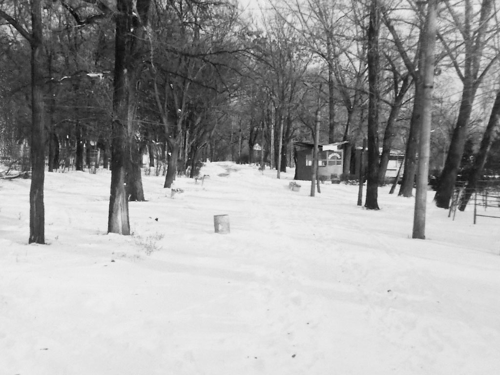 Фотографии Новомосковска, Новомосковский городской парк зимой, 1991 год