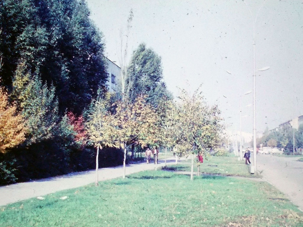 Фотографии Новомосковска, ул Советская, 1989 год