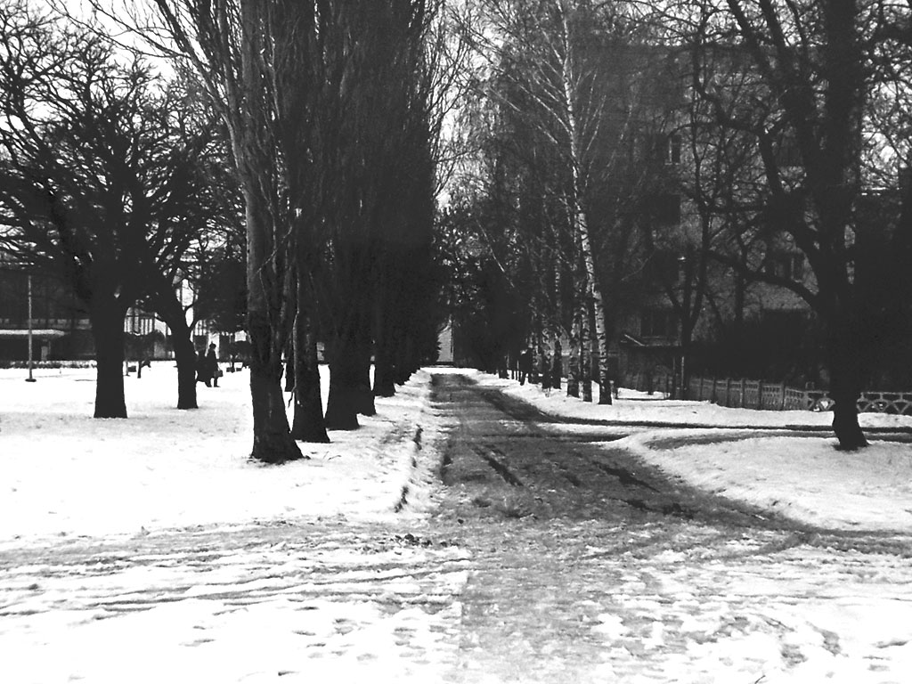 Фотографии Новомосковска, Новомосковский металлургический техникум, 1991 год